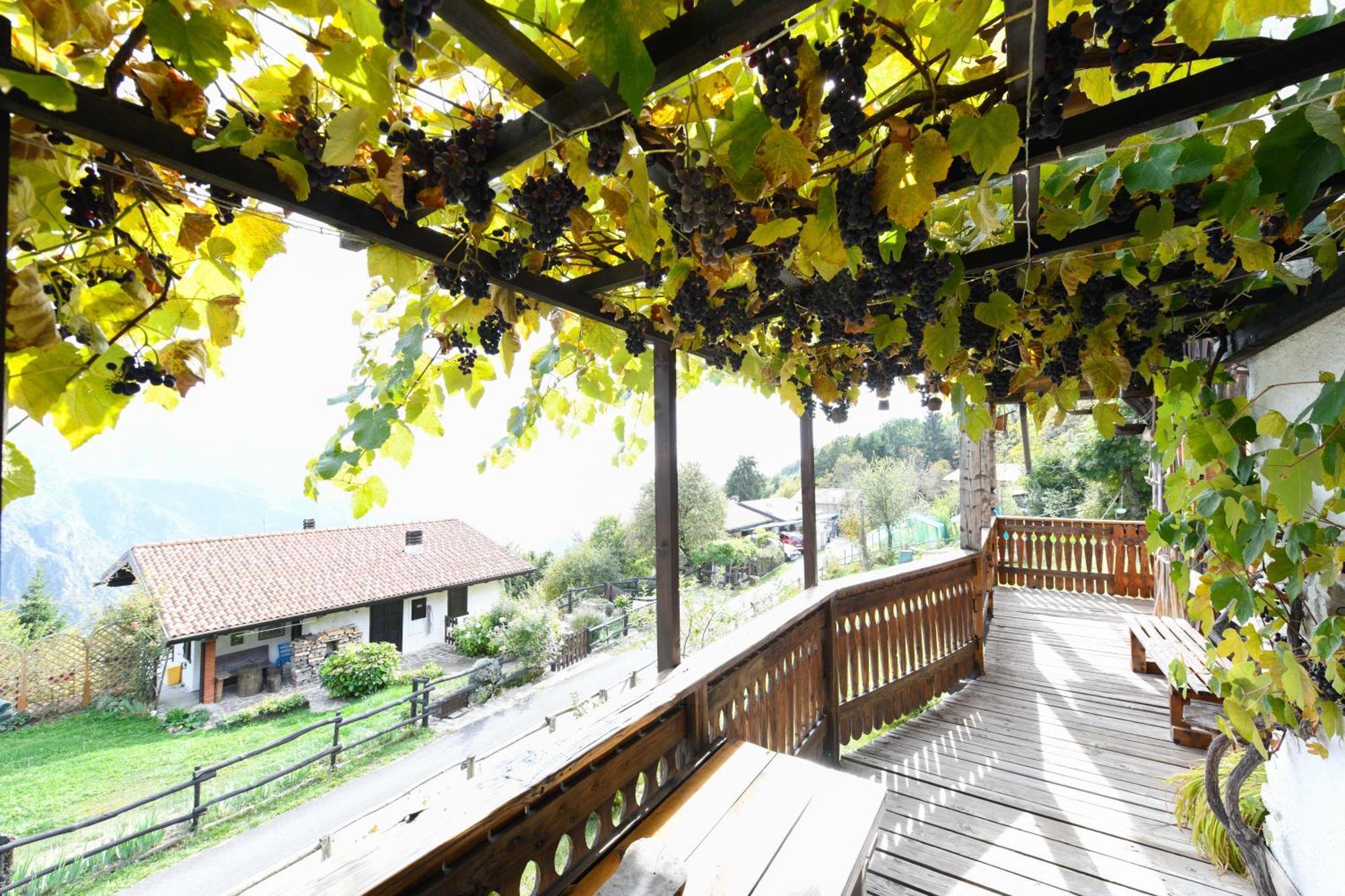 Chalet "Baita Cavacca" Crone Εξωτερικό φωτογραφία